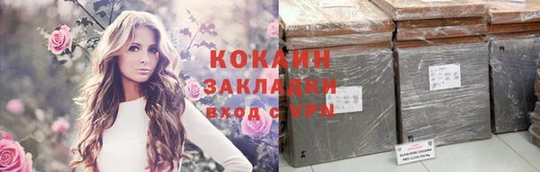 крисы Абаза