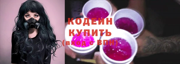 крисы Абаза