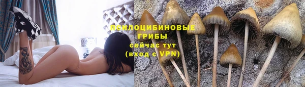 дживик Алексеевка