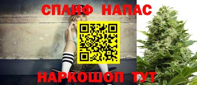 дмт Новозыбков