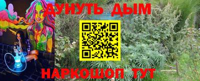 дмт Новозыбков