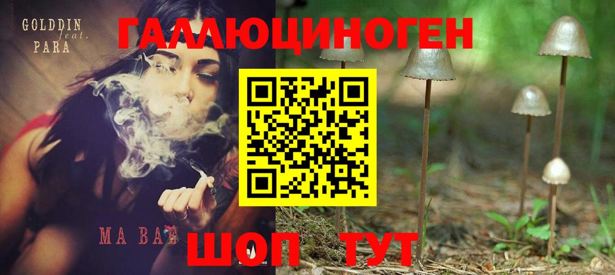 Псилоцибиновые грибы Psilocybine cubensis Южноуральск