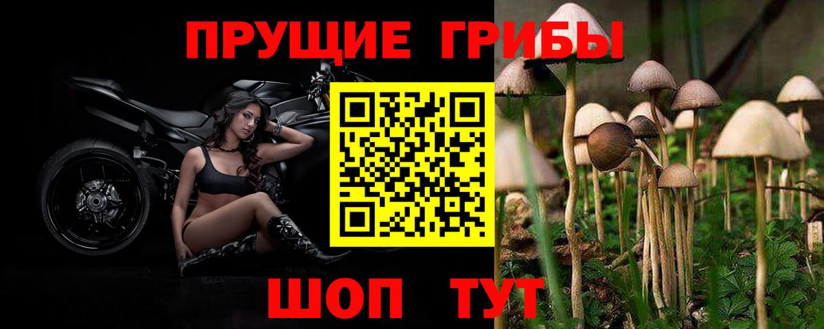Галлюциногенные грибы Psilocybe  Вход с VPN  где продают наркотики  Южноуральск 